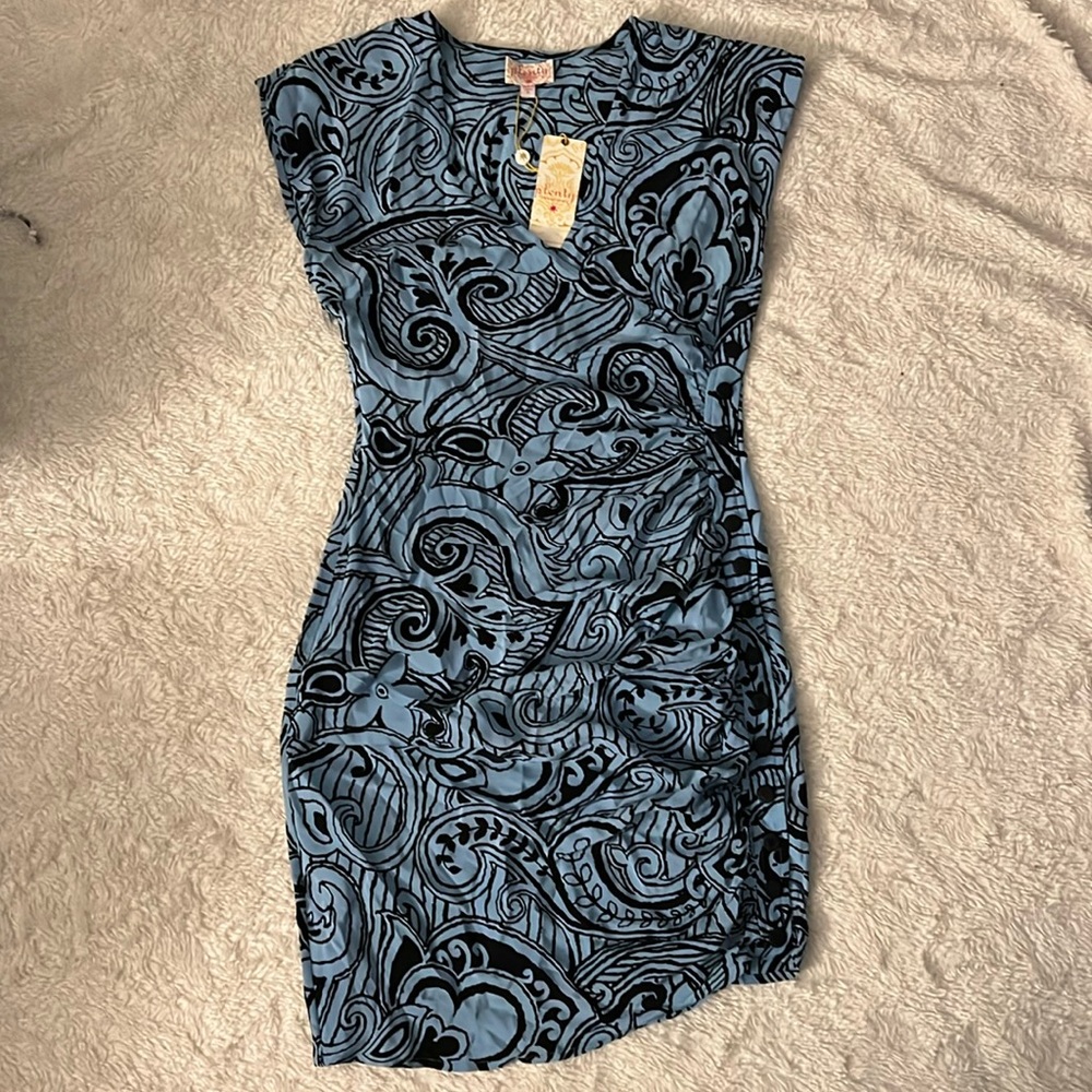 NWT 100% Silk Plenty by Tracy Reese Dress